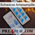 Black Ant Pill new15